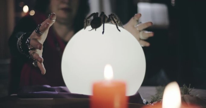 Spider sitting on crystal ball used by old psychic