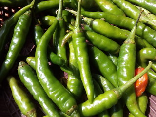 Fresh and green chillies in brown baskets