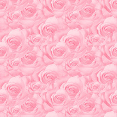 Flowers roses trendy pale pink color