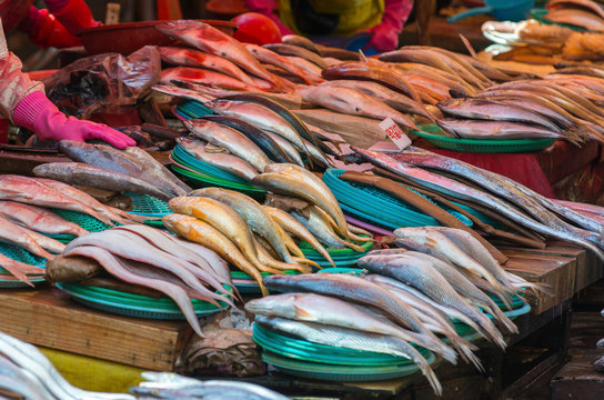Fish for sale at Jagalchi fish market, Busan, South Korea.