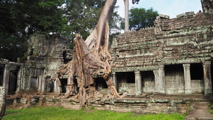 Naklejka premium Throwback trip in Cambodia Siem Reap. Cambodia Siem Reap－July 25, 2016: Ancient architecture and natural scenery in Angkor Wat Cambodia. Photo taken in Pre Rup, East Mebon, Ta Som, Neak Pean, and Prah