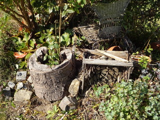 Stillleben im Garten