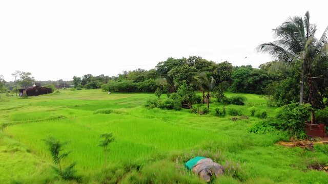 reveling drone shot of village malvan india maharashtra