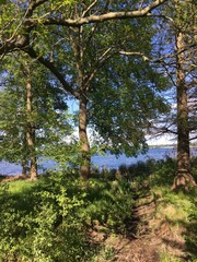 Ausblick auf die Havel