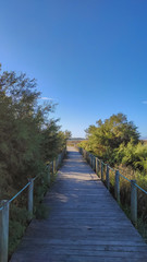 Fototapeta premium The Northern Litoral Natural Park at Ofir, Esposende, Portugal. The large estuary of the Cávado river, where you can spot migratory birds such as capped herons, terns, mallards and herring gulls.