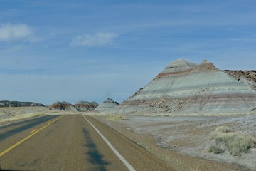 road in the desert, petrified forest
