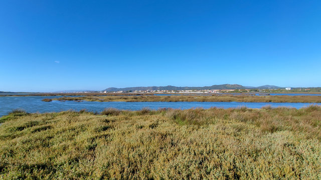 The Northern Litoral Natural Park at Ofir, Esposende, Portugal. The large estuary of the C&aacute;vado river, where you can spot migratory birds such as capped herons, terns, mallards and herring gulls.