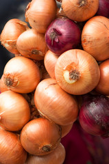 A string of French onions