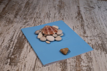 a shell and stones lie on a notebook on a wooden background