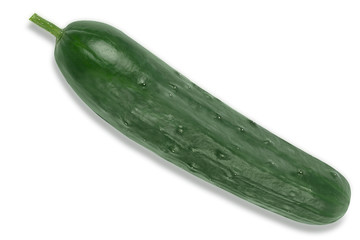Fresh Cucumber isolated on a white background