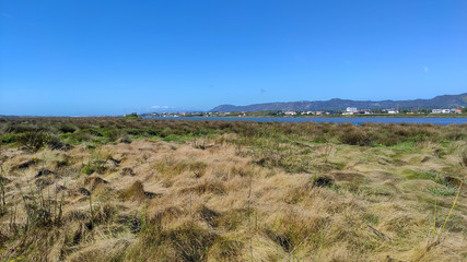 The Northern Litoral Natural Park at Ofir, Esposende, Portugal. The large estuary of the C&aacute;vado river, where you can spot migratory birds such as capped herons, terns, mallards and herring gulls.