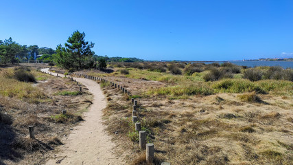 Fototapeta na wymiar The Northern Litoral Natural Park at Ofir, Esposende, Portugal. The large estuary of the Cávado river, where you can spot migratory birds such as capped herons, terns, mallards and herring gulls.