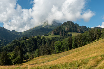 Swiss fields and a view on Le Moleson in the clouds, Switzerland 