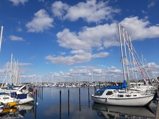 boats in the harbor