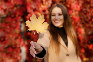 Young woman with a sincere smile having a good time an autumn day. Closeup portrait of charming lady in beige classic coat with autumn yellow leaf in hand. Bright background.