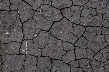cracked soil texture. Black background