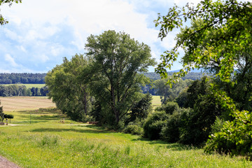 Thüringer Sommerlandschaft