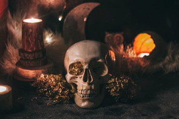 Occult mystic ritual halloween witchcraft scene - human scull, candles, dried flowers, moon and owl