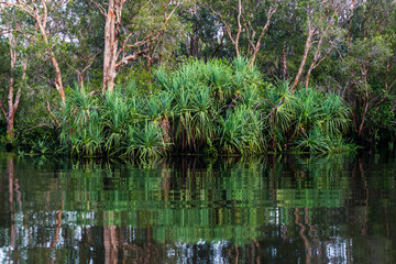 Flooded wetlands during the wet season at Kakadu, Northern Territory, Australia. © Andrew