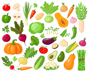 Cartoon vegetables. Vegan veggies food, tomato, pumpkin, zucchini and carrot, vegetarian fresh raw vegetable vector illustration icons set. Vegetarian zucchini and carrot, pumpkin vegetable