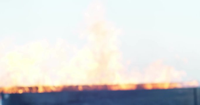 a man in a venetian mask on the seashore plays the glucophone against the background of a burning old piano