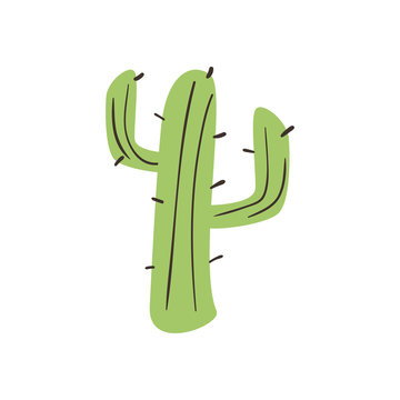 cactus free form style icon vector design