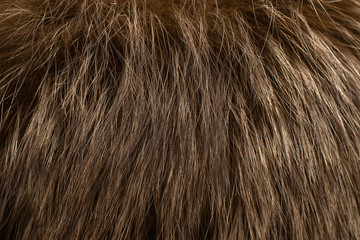 Brown fur as background. Closeup