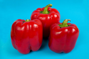 close-up of three large juicy red peppers on a blue background side view . red vegetables