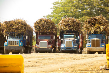 Camión de carga cañero fletes azucareros transporte agricultura fábrica de azucar remolque en...