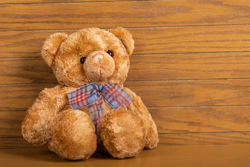 Teddy bear seated indoors