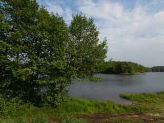 Landscape with lake and surrounding green trees, Kamień, Poland