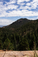 A Cut through Reality