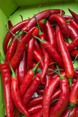 Red Chillies