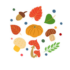 Set of autumn colorful leaves, mushrooms, acorns. Vector graphics on a white background for the design of cards, prints on pillows, packages, covers, wrapping paper