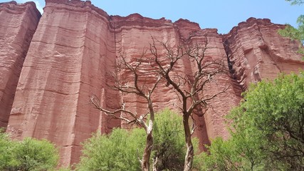 Parque Nacional Talampaya (Argentina, provincia La Rioja) © FliaMont