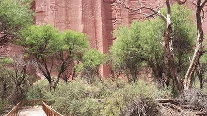 Parque Nacional Talampaya (Argentina, provincia La Rioja) © FliaMont