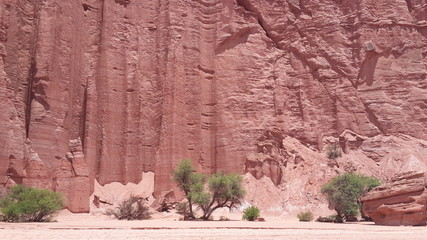 Parque Nacional Talampaya (Argentina, provincia La Rioja) © FliaMont