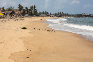 Fototapeta na wymiar Sri Lanka, Negombo, 