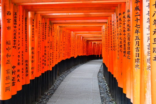 Fushimi Inari-Taisha Red Torii gates with kanji