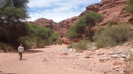 Parque Nacional Talampaya (Argentina, provincia La Rioja) © FliaMont
