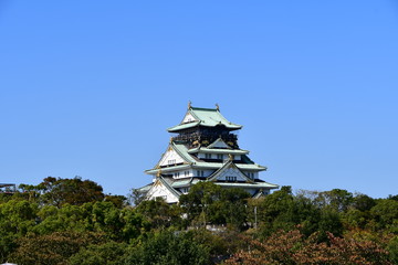 Fototapeta premium Osaka Castle