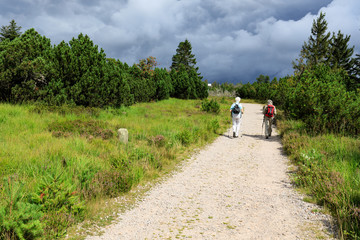 Zwei ältere Frauen auf dem Westweg im Schwarzwald, Nähe Darmstädter Hütte, vor dunklen Wolken