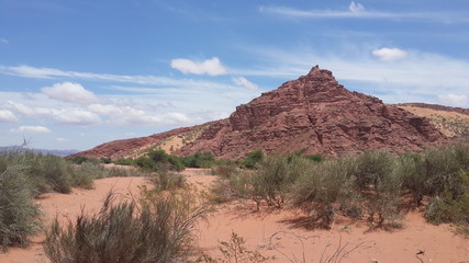 Parque Nacional Talampaya (Argentina, provincia La Rioja) © FliaMont