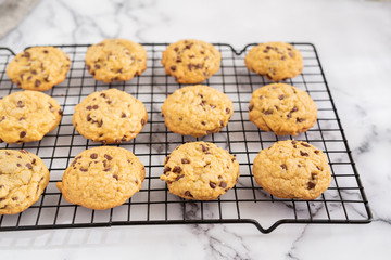Chocolate Chip Cookies on Wire Cooling Rack