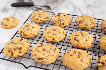 Chocolate Chip Cookies on Wire Cooling Rack