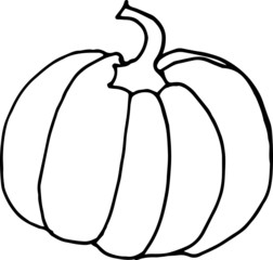 vector illustration of a pumpkin