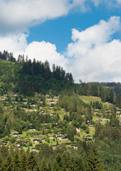 Fototapeta na wymiar Swiss chalets on a hill of Moléson-sur-Gruyères, village in Switzerland 