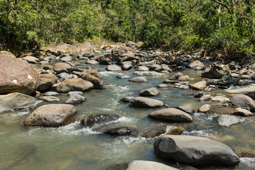 Rushing water and river in El Yunque National Forest.