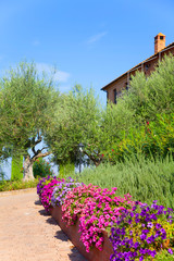 Fototapety na wymiar - Fototapeta24.pl