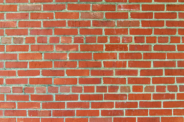 new brick wall